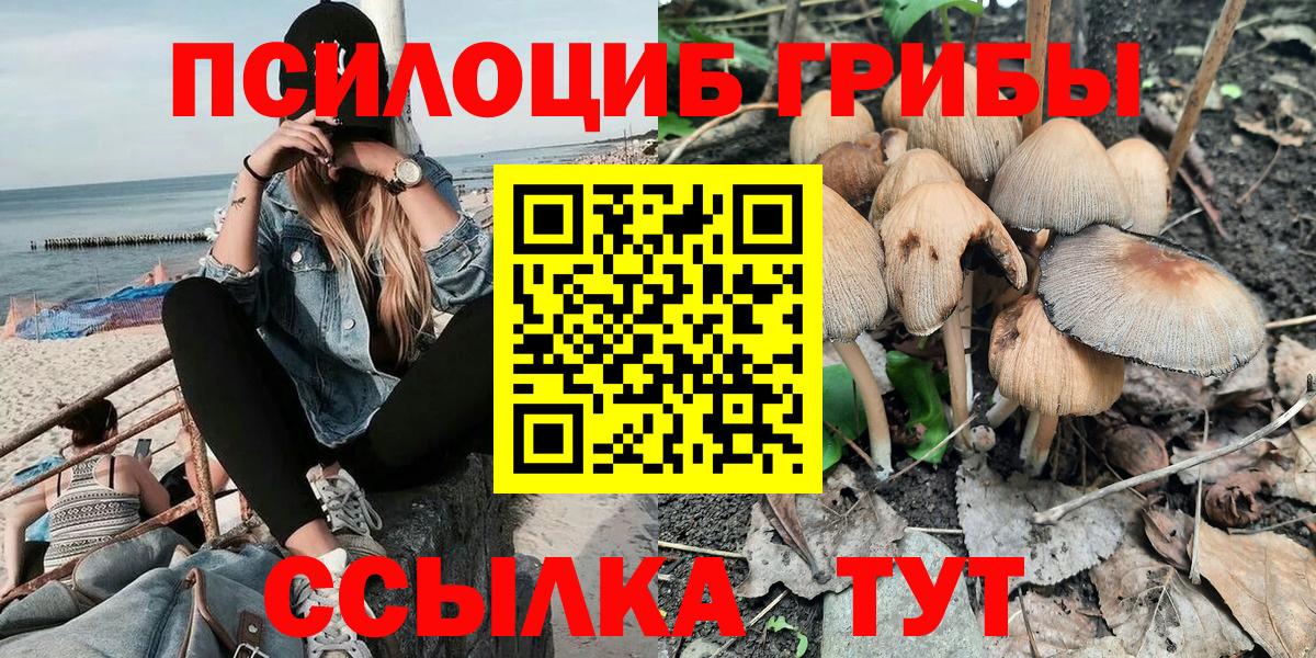 Кузнецк  Галлюциногенные грибы Magic Shrooms  Вход с VPN  Псилоцибиновые грибы Psilocybine cubensis 